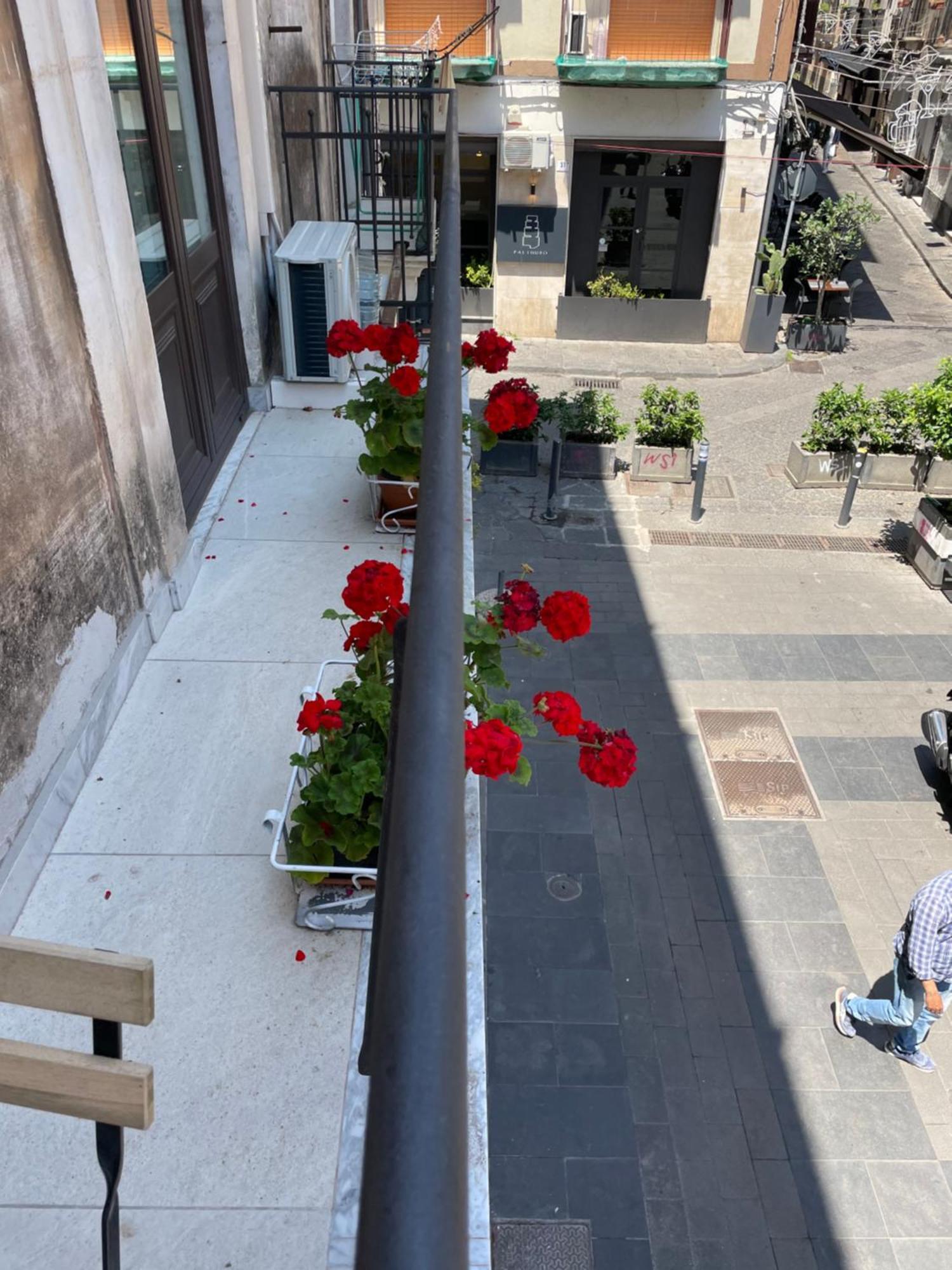 Gemmellaro 67 Apartment Catania Bagian luar foto